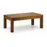 Table Basse 2 Tiroirs Bois Bronze Marron 110x55x42cm