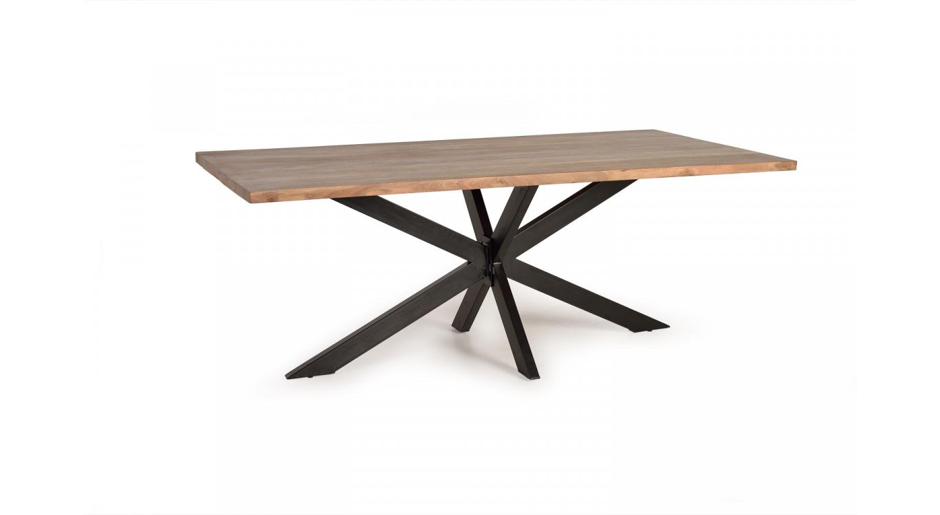 Table à Manger Bois, Métal Marron 200x100x76cm