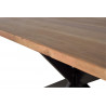 Table à Manger Bois, Métal Marron 200x100x76cm