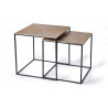 Lot De 2 Tables Basses Bronze, Fer Bronze 55x105x56cm