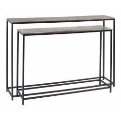 Lot de 2 Consoles Aluminum Fer Or Argent 120x25x80cm