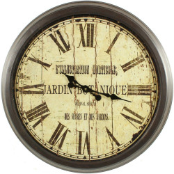 Grande Horloge Ancienne Murale Jardin Botanique 70cm